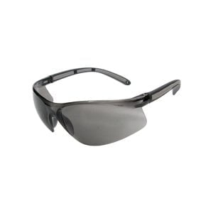 91685 SAFETY SPECTACLES